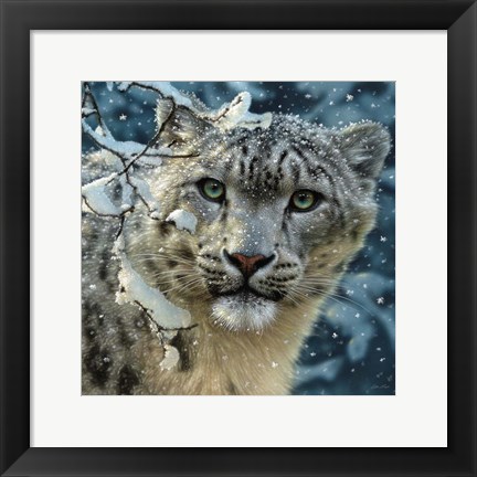 Framed Snow Leopard Print