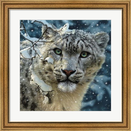 Framed Snow Leopard Print