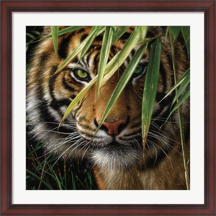 Framed Tiger - Emerald Forest Print