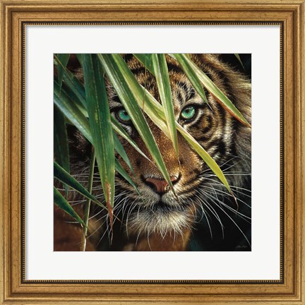 Framed Tiger Eyes Print