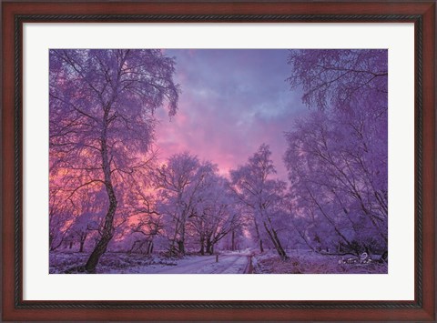 Framed Winter Wonderland Print