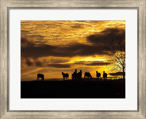 Framed Horses at Sunset Print