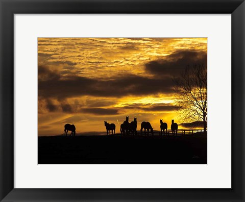 Framed Horses at Sunset Print