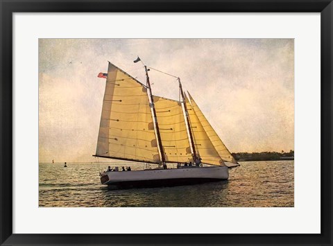 Framed Morning Sail Print