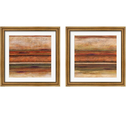 Grande Spectrum 2 Piece Framed Art Print Set by Michael Brey