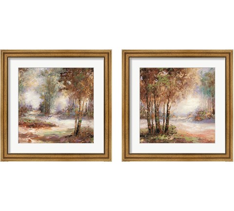 Light in Balance 2 Piece Framed Art Print Set by Cory Bannister