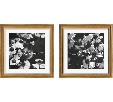 Bloom and Grow 2 Piece Framed Art Print Set by Laura Marshall