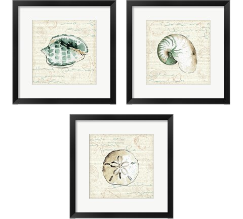 Ocean Prints 3 Piece Framed Art Print Set by Pela Studio