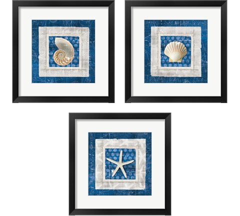 Sea Shell on Blue 3 Piece Framed Art Print Set by Belinda Aldrich