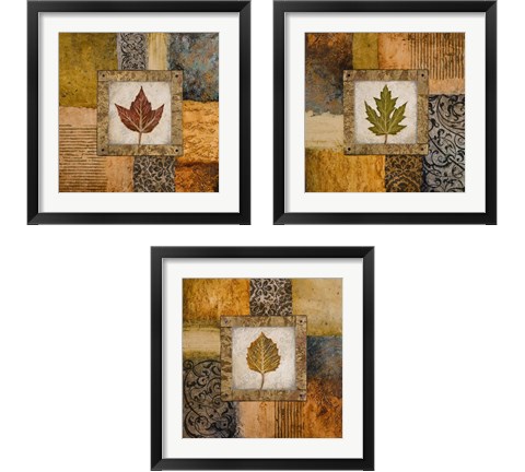 Fallen Leaf 3 Piece Framed Art Print Set by Michael Marcon