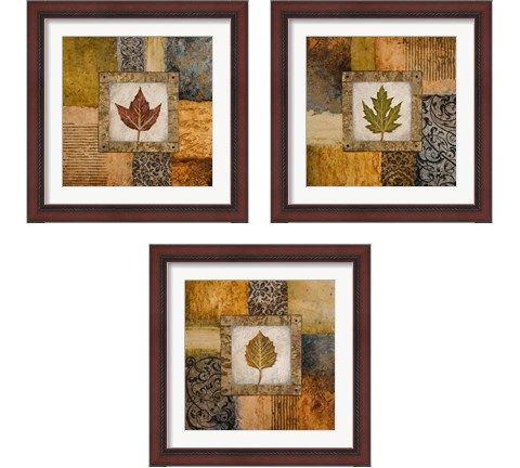 Fallen Leaf 3 Piece Framed Art Print Set by Michael Marcon