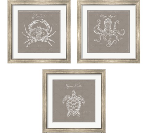 Underwater Life Greige 3 Piece Framed Art Print Set by Daphne Brissonnet