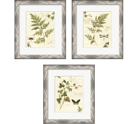 Ivies and Ferns 3 Piece Framed Art Print Set by Lisa Audit