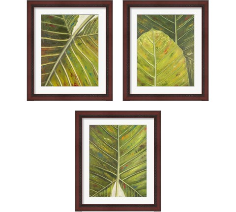 Green Zoom 3 Piece Framed Art Print Set by Patricia Pinto