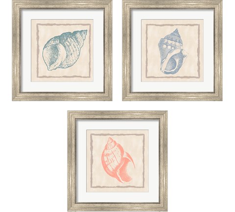 Shell 3 Piece Framed Art Print Set by Ramona Murdock