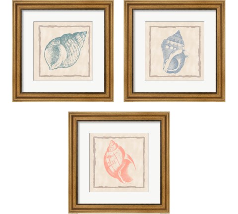 Shell 3 Piece Framed Art Print Set by Ramona Murdock