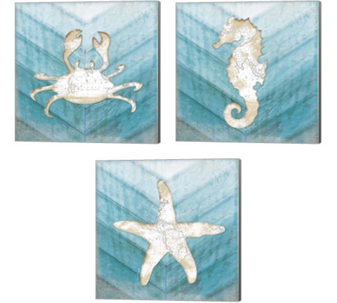 Coastal Sealife 3 Piece Canvas Print Set by Jennifer Pugh