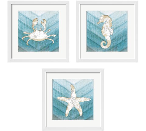 Coastal Sealife 3 Piece Framed Art Print Set by Jennifer Pugh