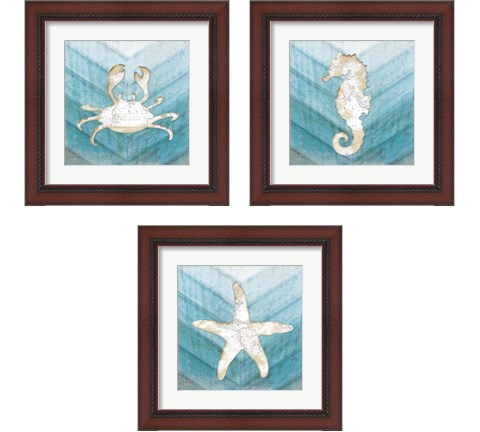 Coastal Sealife 3 Piece Framed Art Print Set by Jennifer Pugh