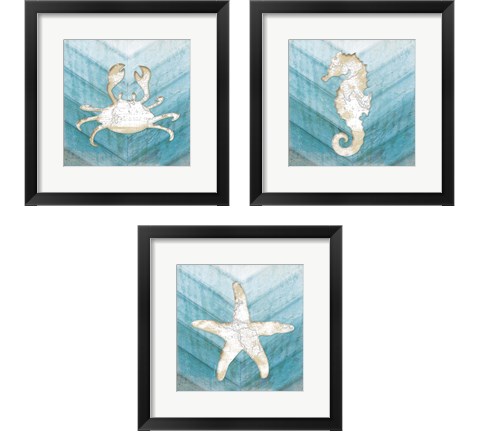 Coastal Sealife 3 Piece Framed Art Print Set by Jennifer Pugh
