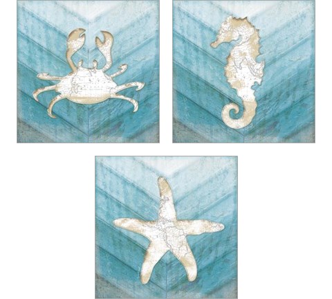 Coastal Sealife 3 Piece Art Print Set by Jennifer Pugh