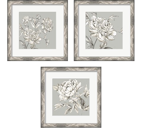 Botanical 3 Piece Framed Art Print Set by Eva Watts