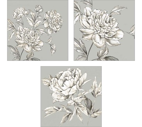 Botanical 3 Piece Art Print Set by Eva Watts