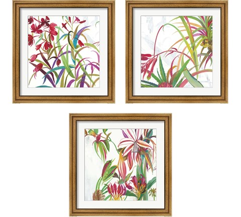 Tropical 3 Piece Framed Art Print Set by Asia Jensen