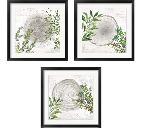 Eco 3 Piece Framed Art Print Set by Aimee Wilson