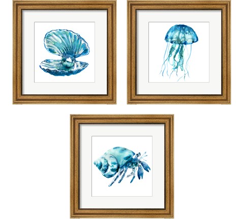 SeaLife 3 Piece Framed Art Print Set by Edward Selkirk