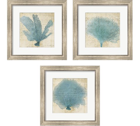 Blue Coral 3 Piece Framed Art Print Set by Posters International Studio