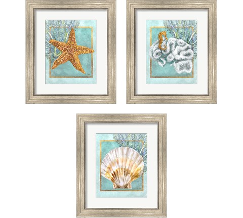 Coral and Seahorse 3 Piece Framed Art Print Set by Lori Shory