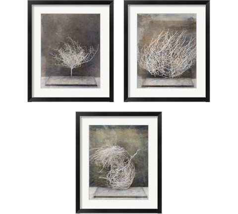 Desert Form 3 Piece Framed Art Print Set by Elena Ray