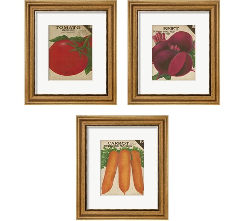 Heirloom Variety 3 Piece Framed Art Print Set by Jarman Fagalde