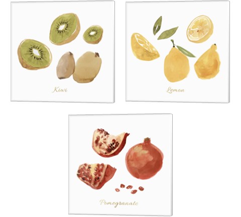 Fruit 3 Piece Canvas Print Set by Isabelle Z