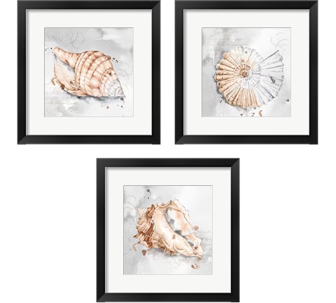 Blush Shell 3 Piece Framed Art Print Set by Eva Watts