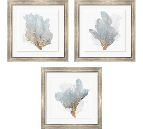 Delicate Coral  3 Piece Framed Art Print Set by Isabelle Z