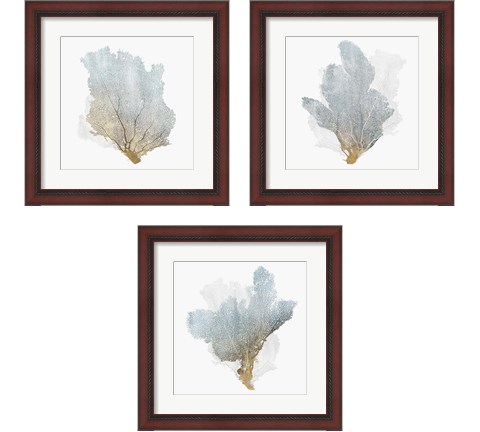 Delicate Coral  3 Piece Framed Art Print Set by Isabelle Z