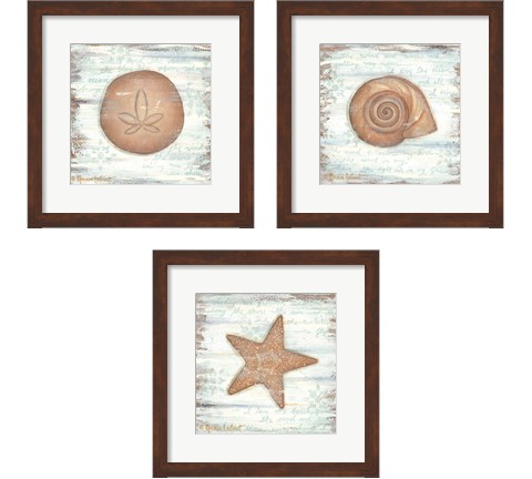 Ocean Sea Life 3 Piece Framed Art Print Set by Annie Lapoint