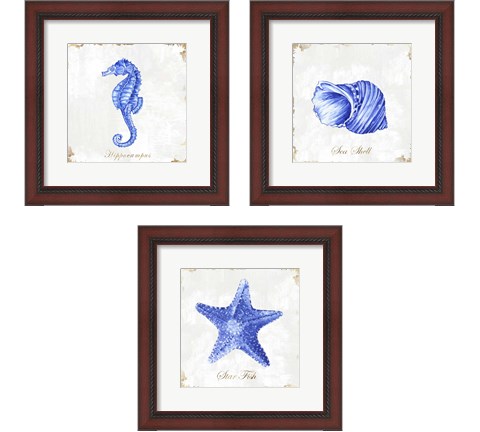 Blue Sea Life 3 Piece Framed Art Print Set by Eva Watts