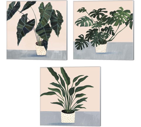 Houseplant  3 Piece Canvas Print Set by Victoria Borges