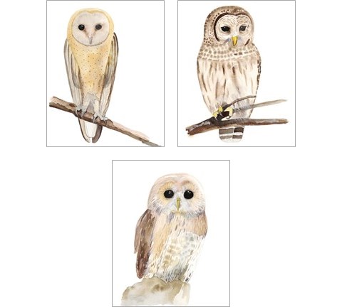 Hoo Dis  3 Piece Art Print Set by Alicia Ludwig