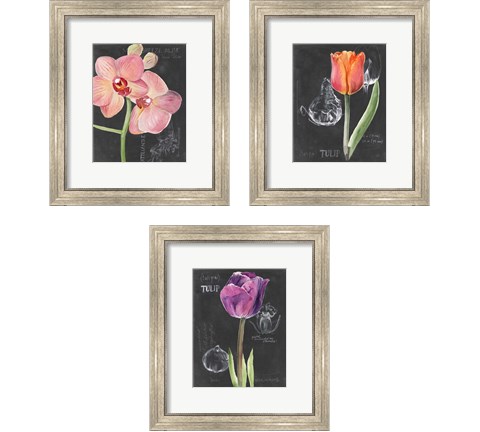 Chalkboard Flower 3 Piece Framed Art Print Set by Jennifer Parker