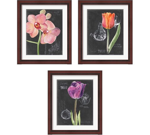 Chalkboard Flower 3 Piece Framed Art Print Set by Jennifer Parker