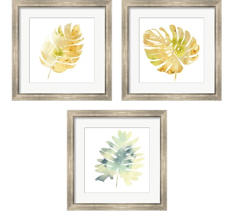 Prisma Tropical  3 Piece Framed Art Print Set by June Erica Vess