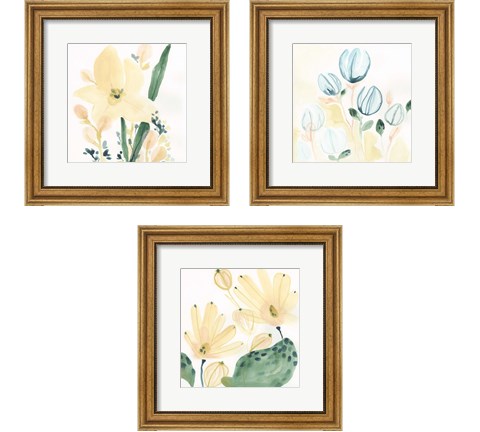 Garden Essence 3 Piece Framed Art Print Set by June Erica Vess