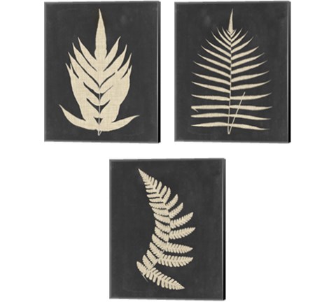 Linen Fern 3 Piece Canvas Print Set by Vision Studio