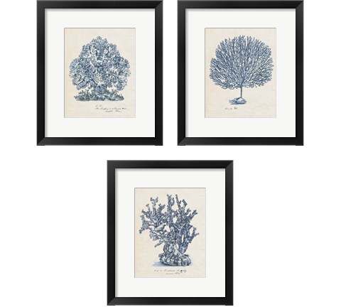 Sea Coral Study 3 Piece Framed Art Print Set by Melissa Wang