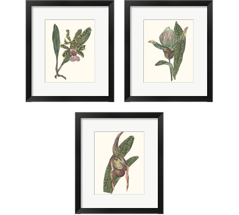 Orchid Display 3 Piece Framed Art Print Set by Melissa Wang