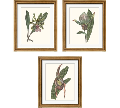 Orchid Display 3 Piece Framed Art Print Set by Melissa Wang